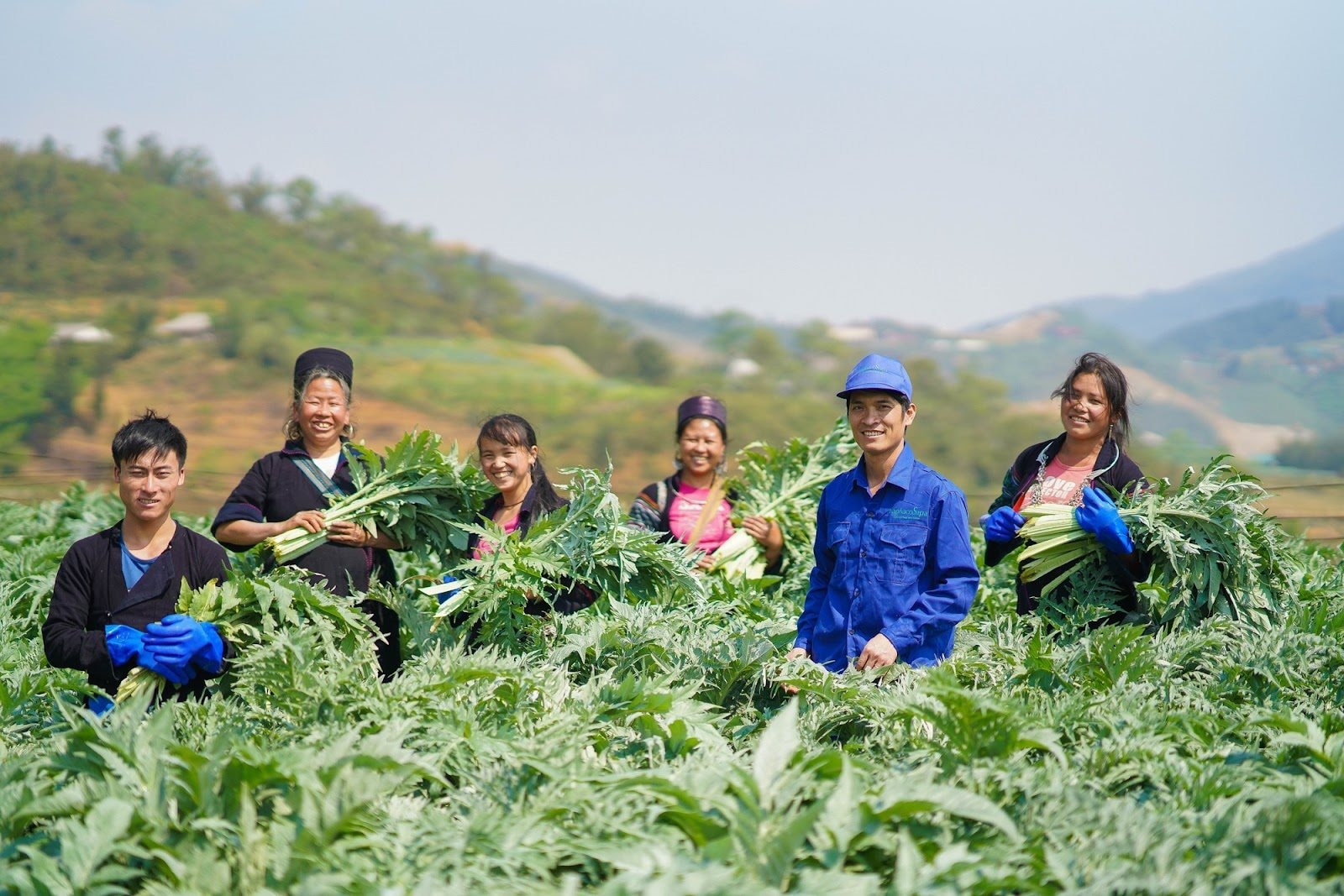 Traphaco và hành trình đảo ngược ‘nghịch lý dược liệu’ ở Việt Nam, nâng thu nhập dân nghèo lên tới trăm triệu/ năm