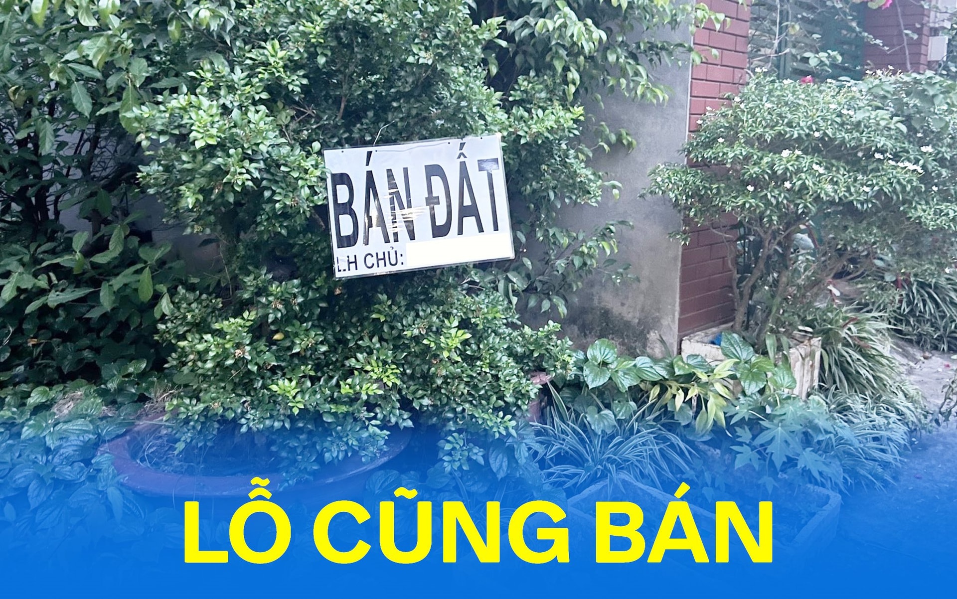 Nỗi lòng nhà đầu tư: “Đã bán lỗ còn bị ép giá giảm đến 50%”