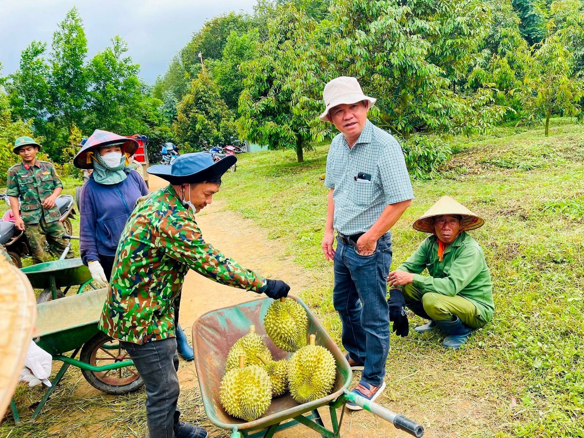 Bầu Đức: Chuối và sầu riêng HAGL vẫn xuất khẩu bình thường