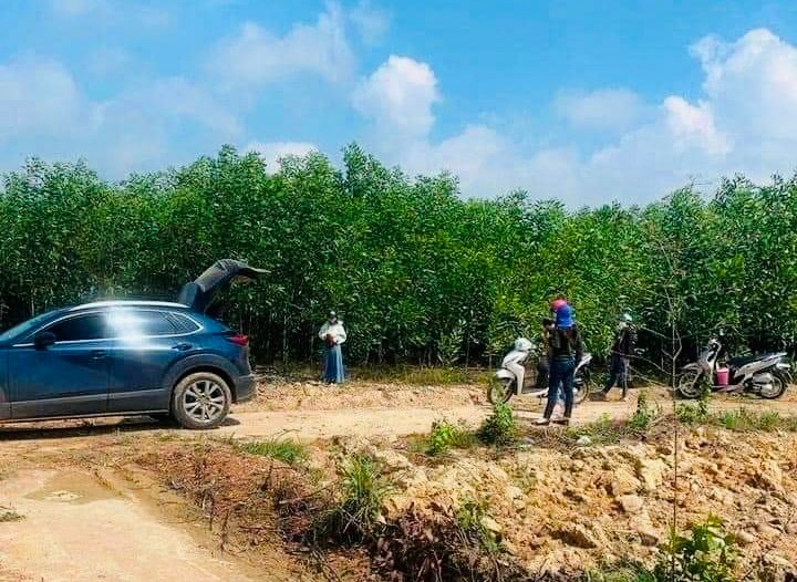 Có 2 tỉ đồng nên mua đất ở đâu lúc này?