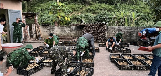 Huyện Lộc Bình, Lạng Sơn: Gần 5.000 con gà giống không rõ nguồn gốc bị bắt giữ