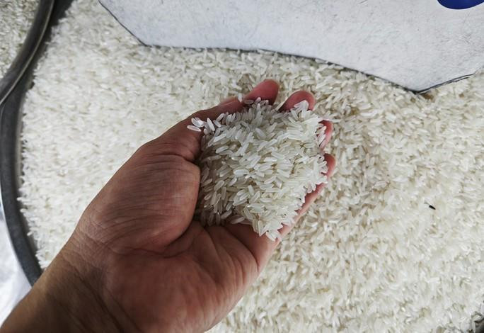 Hết tiền vì giá gạo tăng quá nhanh, một doanh nghiệp lương thực xin ngừng chi trả cổ tức bằng tiền tỷ lệ hơn 140%