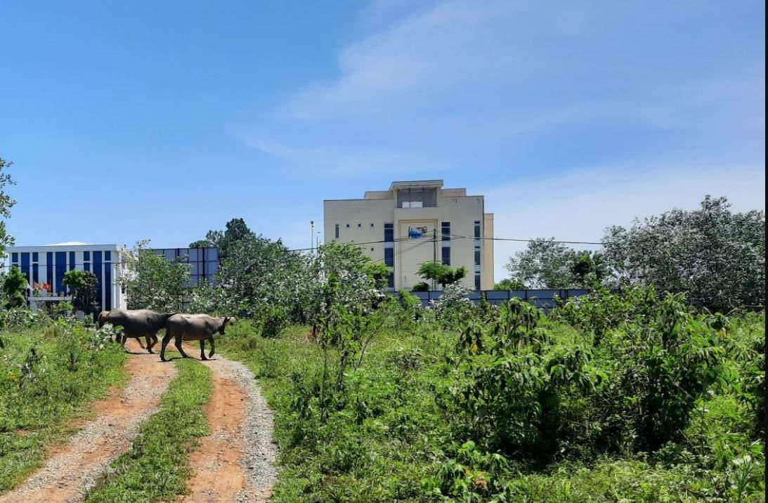 Chính phủ ban hành Nghị quyết mới về việc bàn giao Khu Công nghệ cao Hòa Lạc về Hà Nội