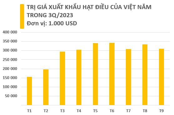 Việt Nam sở hữu "báu vật trời ban" xếp thứ 3 thế giới về sản lượng: Mỹ, Trung Quốc, châu Âu đều săn lùng, thu “sương sương” 300 triệu USD chỉ trong tháng 9 4 c2.png