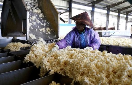 Việt Nam sở hữu “gà đẻ trứng vàng” cực kỳ hút khách Trung Quốc: 9 tháng kiếm 1,4 tỷ USD từ thị trường tỷ dân, diện tích đứng thứ 5 thế giới
