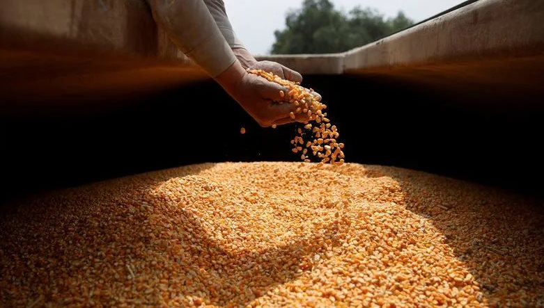 “Ông trùm” nông sản mới của thế giới bất ngờ tăng xuất khẩu loại hạt giá rẻ đến Việt Nam, sản lượng tăng gần 400% trong 9 tháng