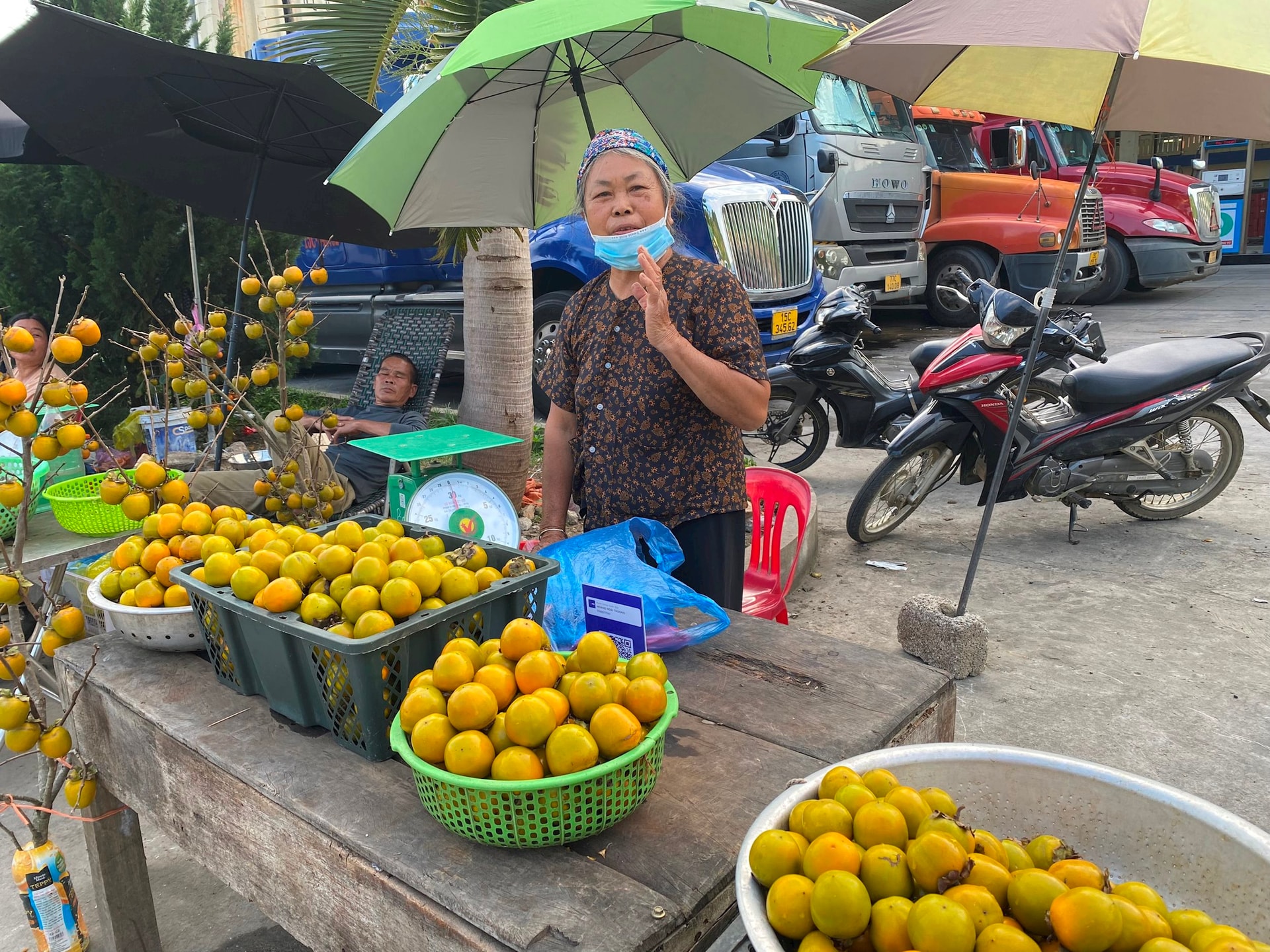 Đưa hồng Vành khuyên Văn Lãng vươn xa