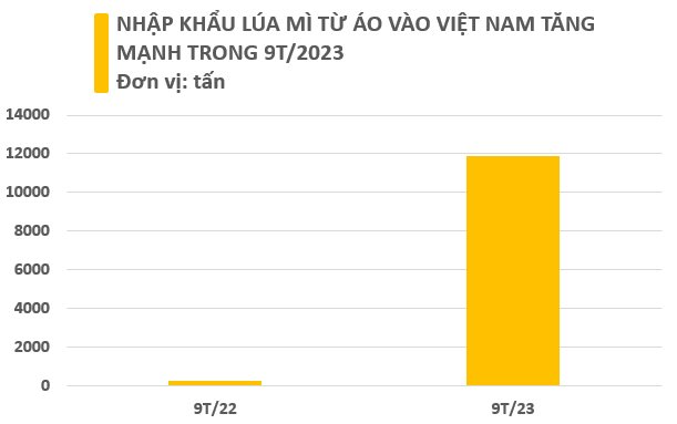 Một loại hạt giá rẻ từ Áo đổ bộ Việt Nam chưa từng có, sản lượng tăng nóng gần 5.000% trong 9 tháng đầu năm 5 c2.png