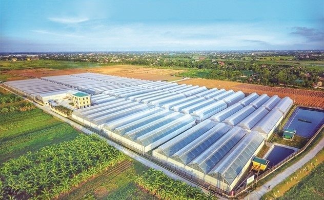 PAN Farm huy động thành công thêm 200 tỷ đồng trái phiếu, lãi suất 10,4%/năm
