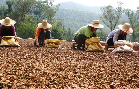 Hai “báu vật” trời ban cho Việt Nam cực hiếm quốc gia sở hữu: Xuất khẩu thu về hơn 200 triệu USD trong 9 tháng, Ấn Độ, Mỹ, Trung Quốc đều ra sức săn lùng