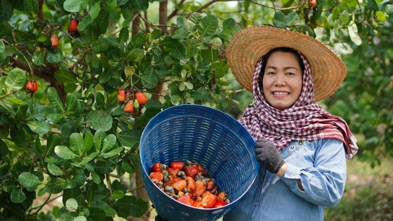 Trung Quốc vượt Mỹ, thành khách mua lớn nhất 1 sản phẩm Việt Nam: Lý do hàng Việt "độc bá" thị trường