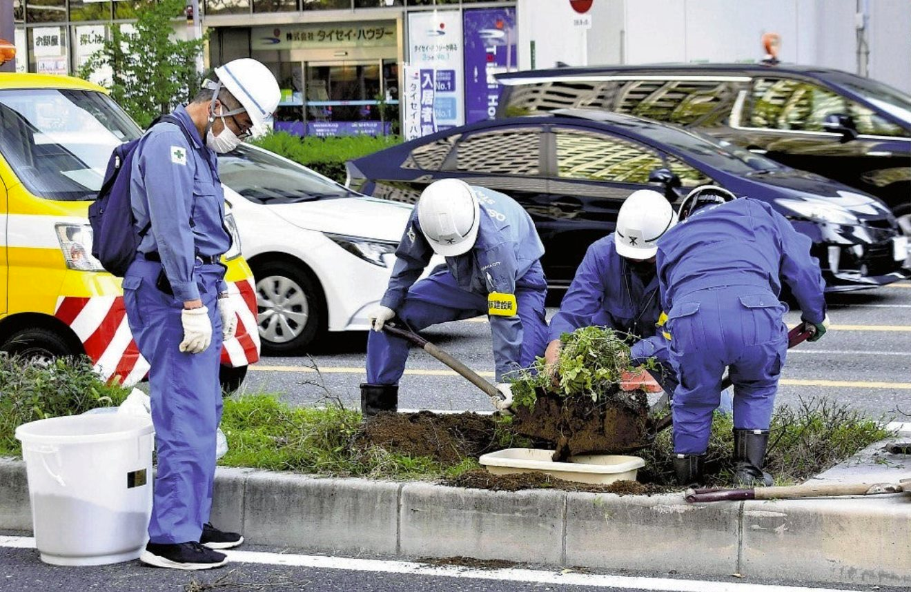 Độc lạ Nhật Bản: Sắp tổ chức lễ bổ quả dưa hấu được giải cứu từ giải phân cách, vé vào cửa hơn 80 nghìn đồng 