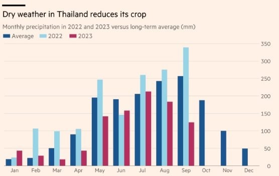 thailand.jpg