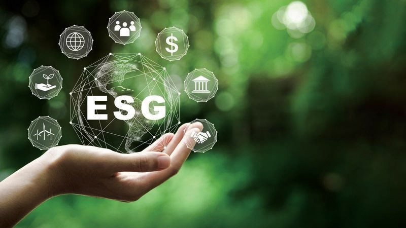 ESG - "chiến lược" hay "chi phí" đối với doanh nghiệp xuất khẩu tại Việt Nam?