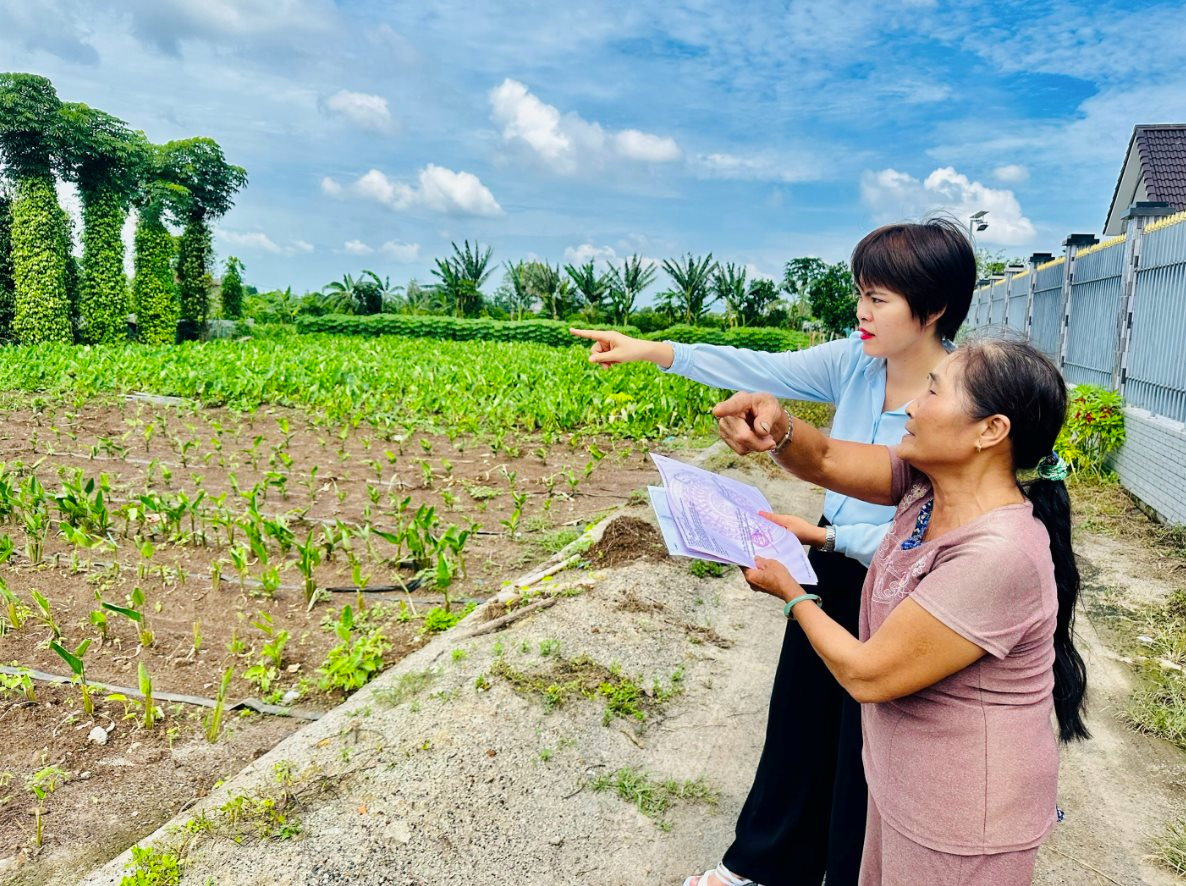 Thông tin mới nhất về tách thửa đất hộ gia đình, cá nhân tại Tp.HCM