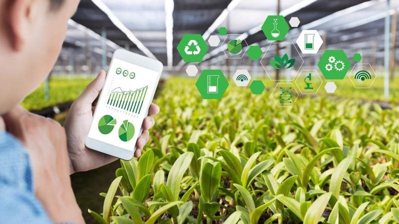 Công nghệ là trụ cột để xây dựng chuỗi giá trị nông nghiệp và thực phẩm bền vững 