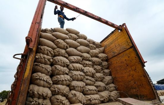 Vừa đoạt giải ngon nhất thế giới, giá xuất khẩu ‘hạt ngọc trời’ của Việt Nam tăng sốc ra sao kể từ đầu năm?