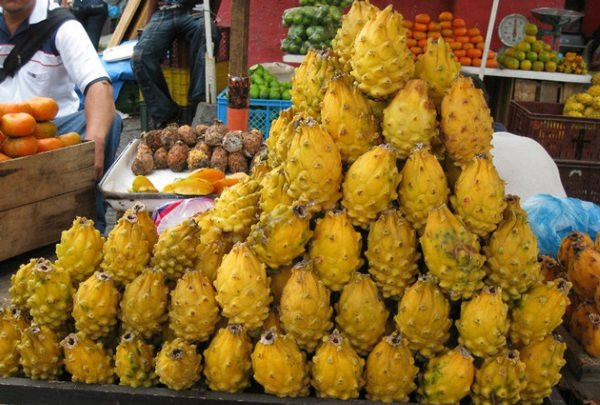 Việt Nam sở hữu 'siêu trái cây' khiến người Trung Quốc phát cuồng: xuất khẩu số 1 thế giới, làm nguyên liệu tạo hot trend gây bão mạng gần đây