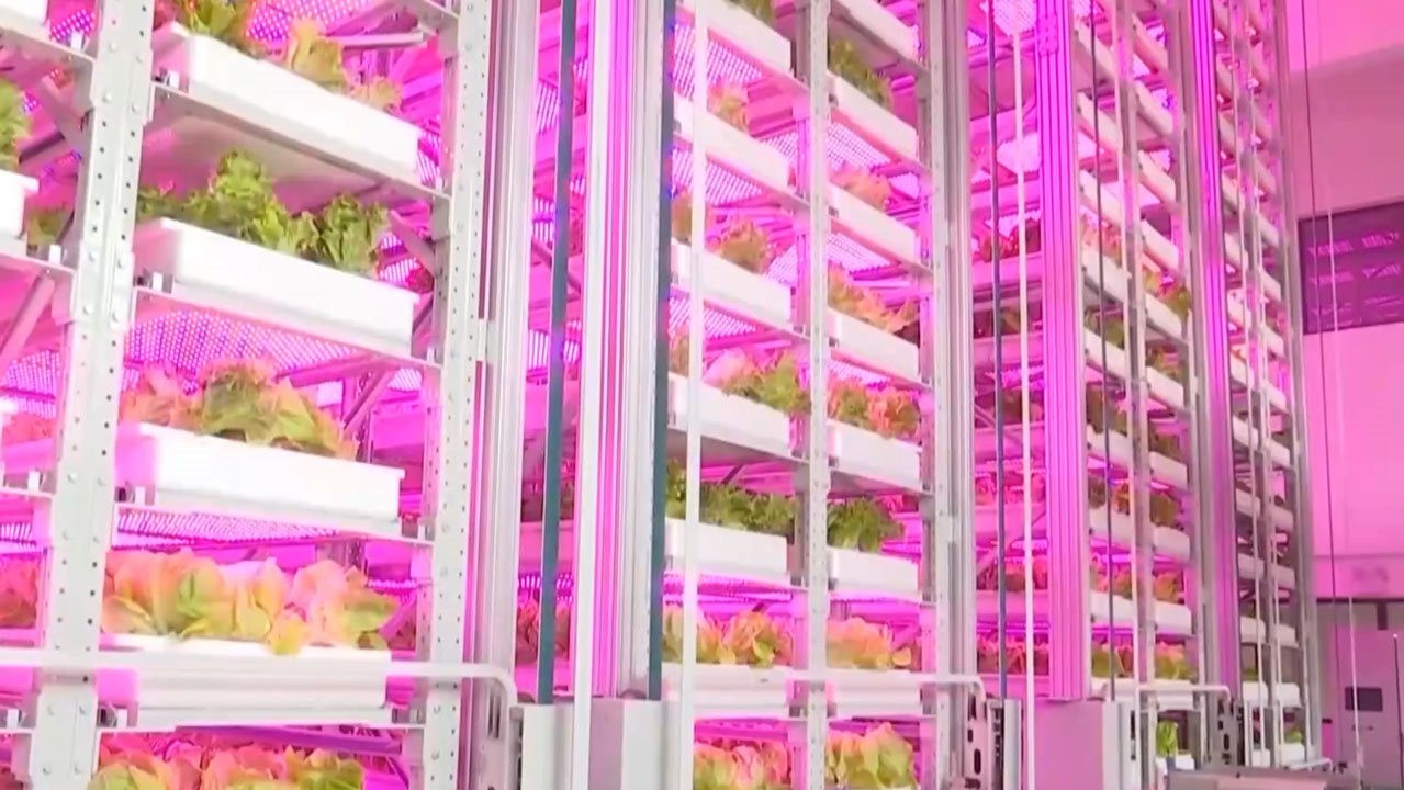 Cho robot đi…trồng rau, Trung Quốc lại gây ngỡ ngàng với trình độ công nghệ đỉnh cao khi ra mắt mô hình trang trại như ‘chung cư 20 tầng’ đầu tiên của thế giới