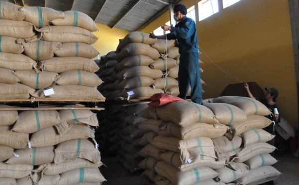 Sau gạo, đường, thế giới lại đối mặt tình trạng thiếu hụt một mặt hàng cực thiết yếu - Việt Nam lập tức được gọi tên 