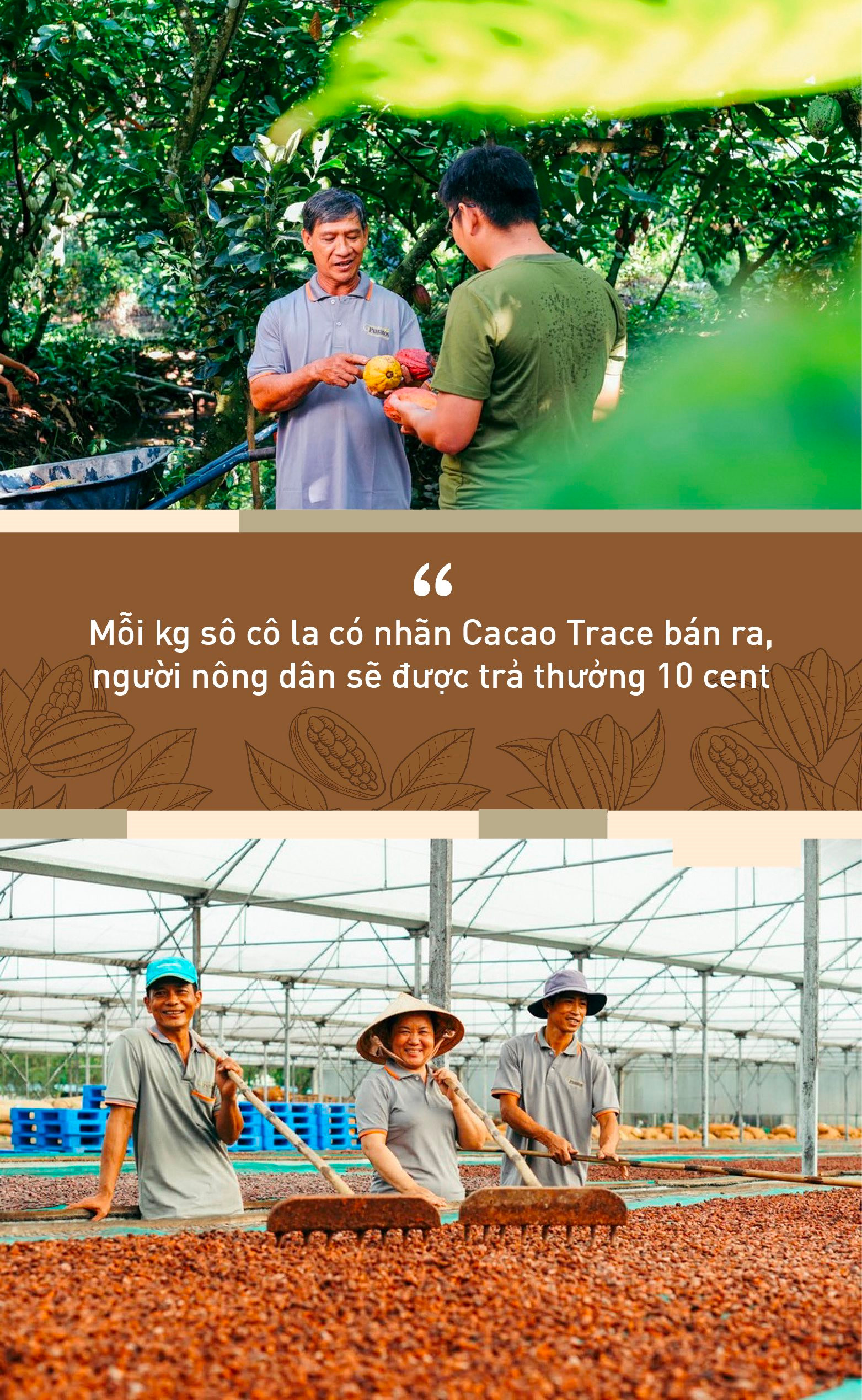 cacao-quote-1-03.jpg