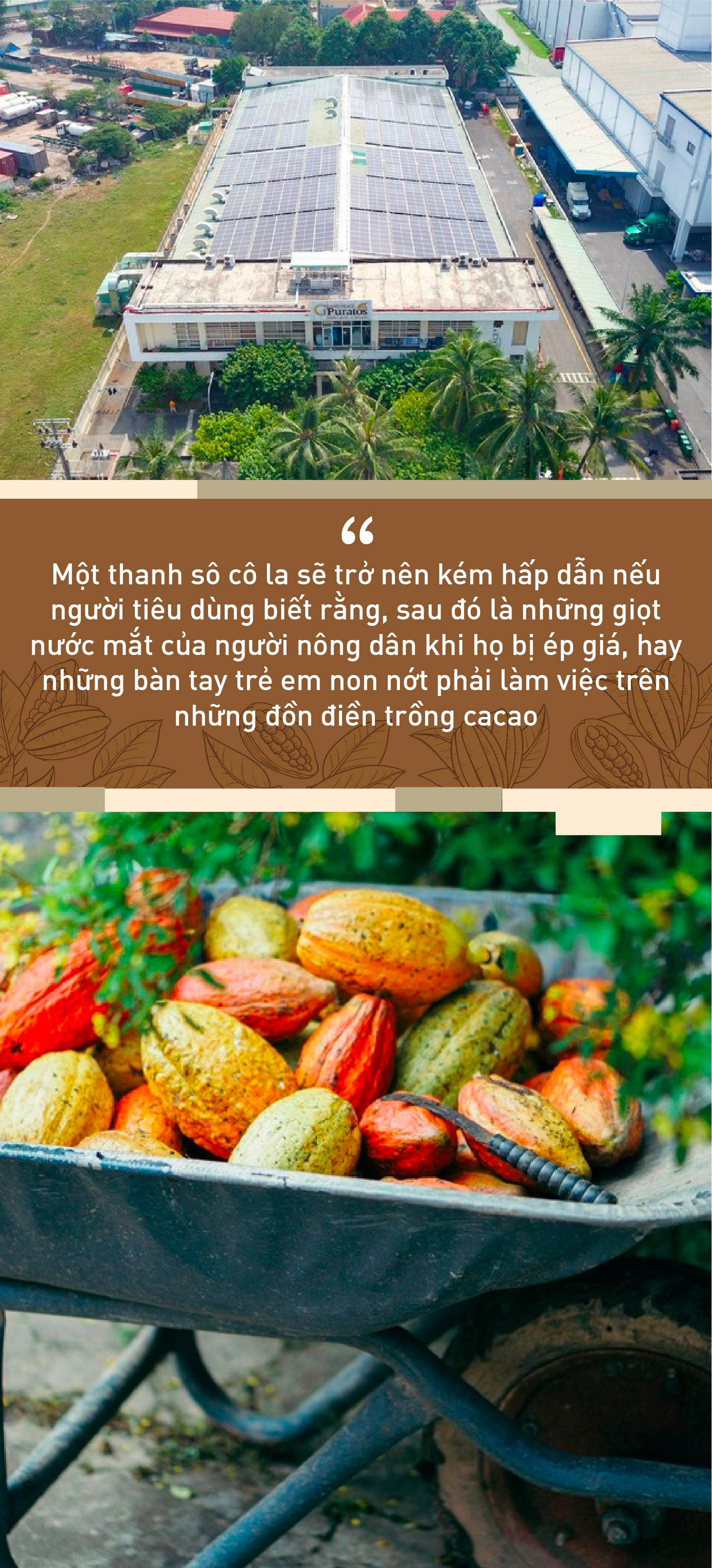 cacao-quote-3-03.jpg