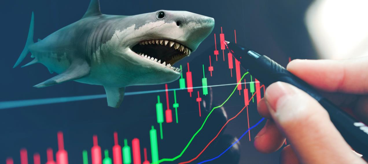 Bắt đáy “mát tay” một cổ phiếu chứng khoán, "cá mập" quy mô 18.000 tỷ vẫn thua VN-Index vì nhóm ngân hàng
