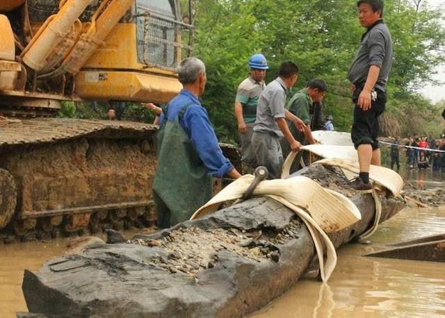 Lão nông khoe đào được cây gỗ hơn 25m, cảnh sát lập tức đến phong tỏa hiện trường