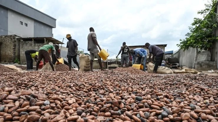 El Nino 'thích đồ ngọt' và đây là lý do túi tiền của bạn sẽ 'thủng' nhanh hơn vào năm 2024 