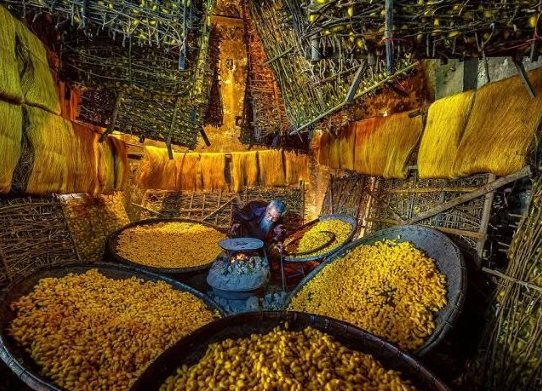Một mặt hàng tỷ đô của Việt Nam được gần một nửa thế giới săn đón: Thu về hàng tỷ USD mỗi tháng, Nhật Bản, Hàn Quốc cực kỳ ưa chuộng
