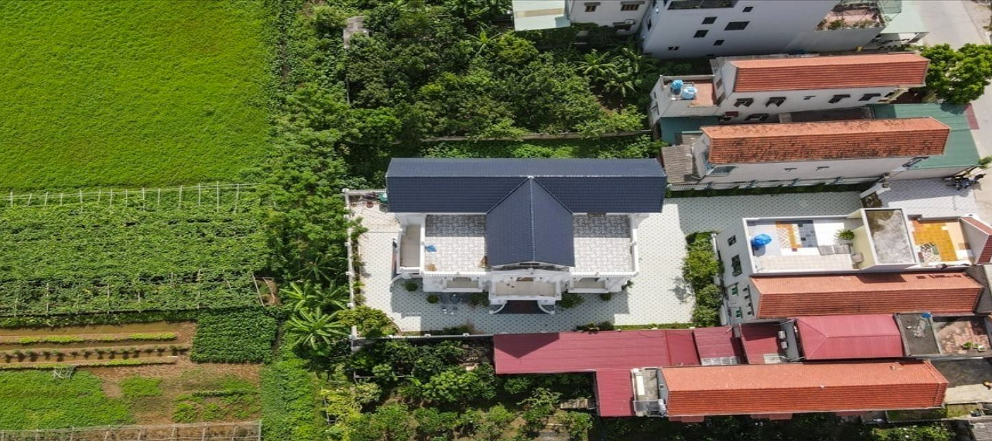 Làm thế nào để chuyển đất trồng cây lâu năm thành đất ở trong năm 2024?