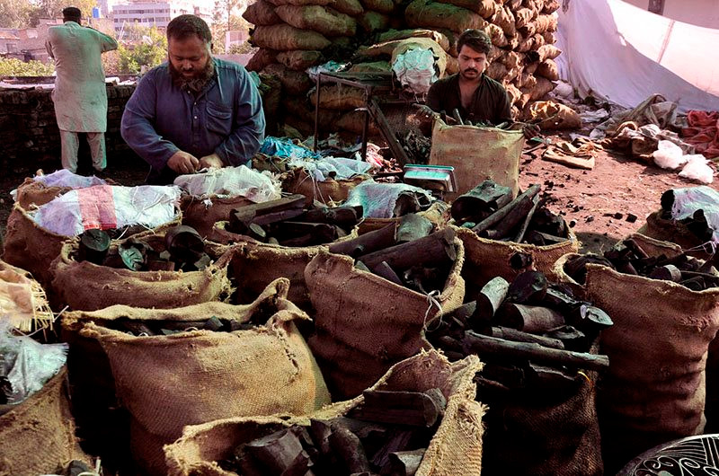 Giá giảm sâu, một mặt hàng quan trọng từ Nga liên tục tràn vào Việt Nam: nhập khẩu tăng gần 100%, là 'vàng đen' Nga đủ dùng trong 300 năm