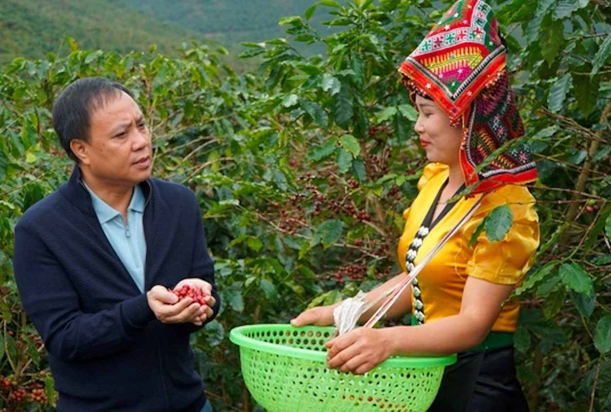 Giá cà phê Việt Nam tăng lên mức cao nhất thế giới, Chủ tịch Phúc Sinh cảnh báo cơn ác mộng đã tới