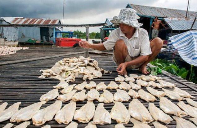 Cá tra Việt Nam thu hơn 200 triệu USD từ đầu năm, người Trung Quốc chuộng hơn cả hàng nội

