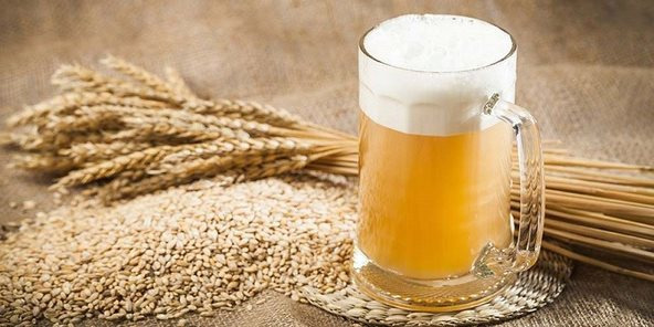 Doanh nghiệp đầu tiên sản xuất malt bia tại Việt Nam báo lỗ năm thứ 4 liên tiếp