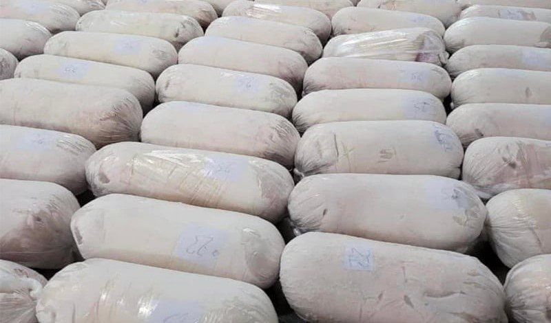 Giá heo hơi vào "sóng" tăng sắp chạm mốc 70.000 đồng/kg, nhiều "ông lớn" đua nhau tái đàn