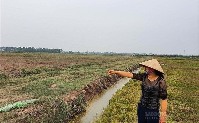 Từ năm 2025, nhiều điểm mới về việc đền bù khi bị thu hồi đất nông nghiệp