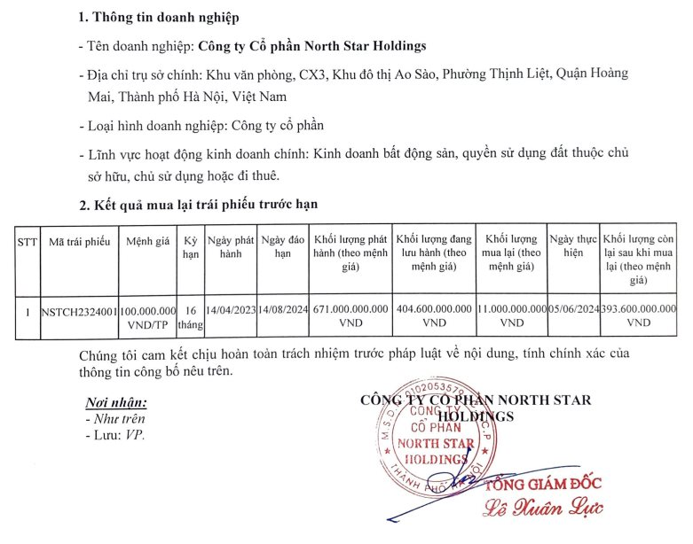 cong-ty-cp-north-star-holdings(1).png