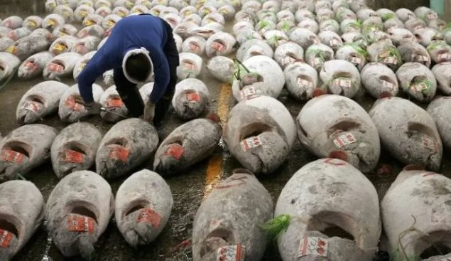 Siêu thực phẩm của Việt Nam được liên tục săn lùng: Thu gần 400 triệu trong 5 tháng, hơn 80 quốc gia khác 'đặt gạch' mua hàng