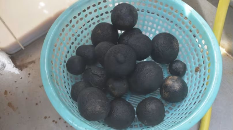 Nhật Bản phát hiện triệu tấn ‘quả cầu đen’ la liệt dưới đáy biển, khai phá kho báu cả thế giới đang thèm khát, đủ dùng tới 75 năm