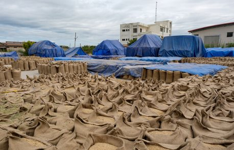 'Báu vật' nhà trồng được của Việt Nam sang Ukraine đắt như tôm tươi: Xuất khẩu tăng nóng 3.800%, toàn cầu đều đang tìm đến nước ta mua hàng