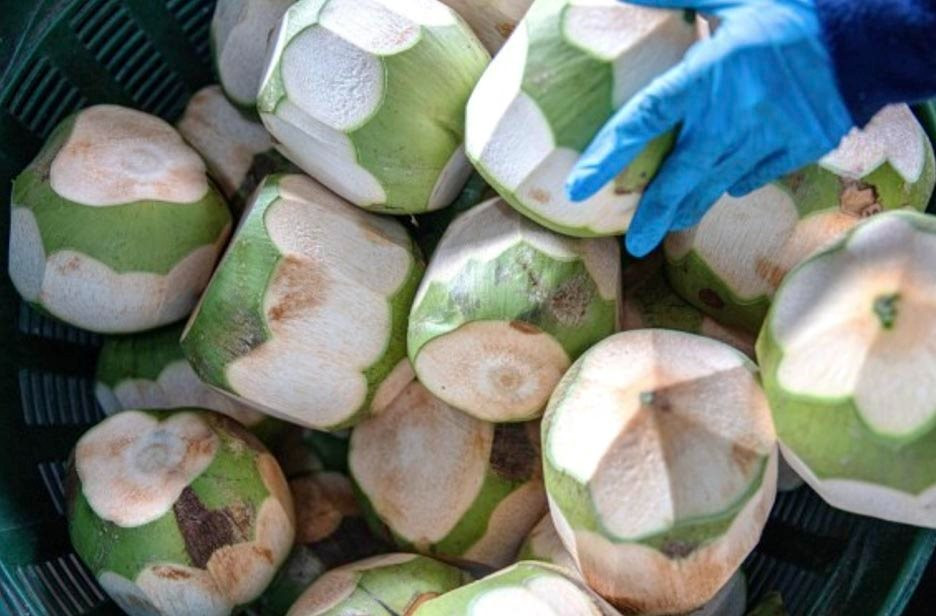 coconut-ratchaburi2.jpg