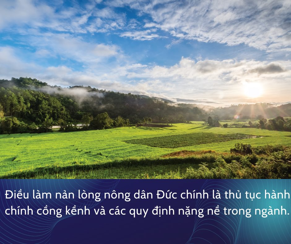 them-tieu-de-phu-1-.png