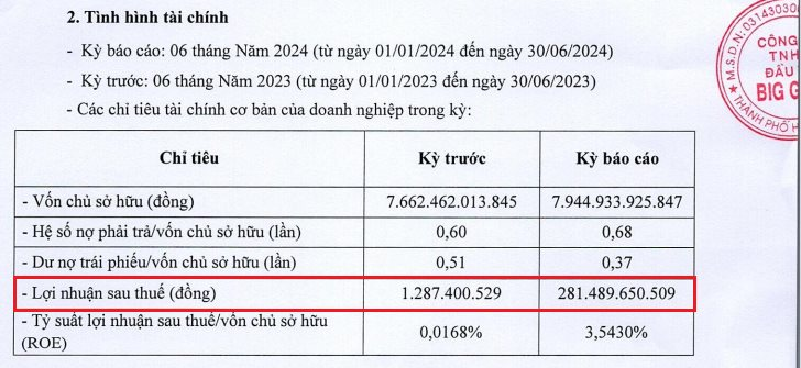 cong-ty-tnhh-dau-tu-big-gain.png