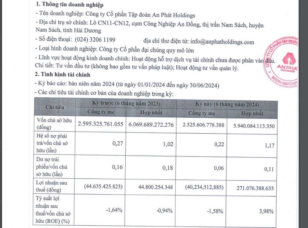 an-phat-holdings(1).jpg