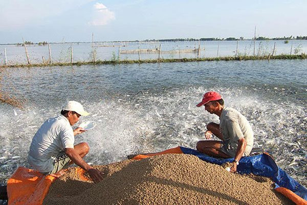 'Sản vật tỷ đô' của Việt Nam phục hồi đà tăng trưởng: Thu về hơn 6 tỷ USD, được Mỹ, Nhật Bản và Trung Quốc đua nhau thu mua