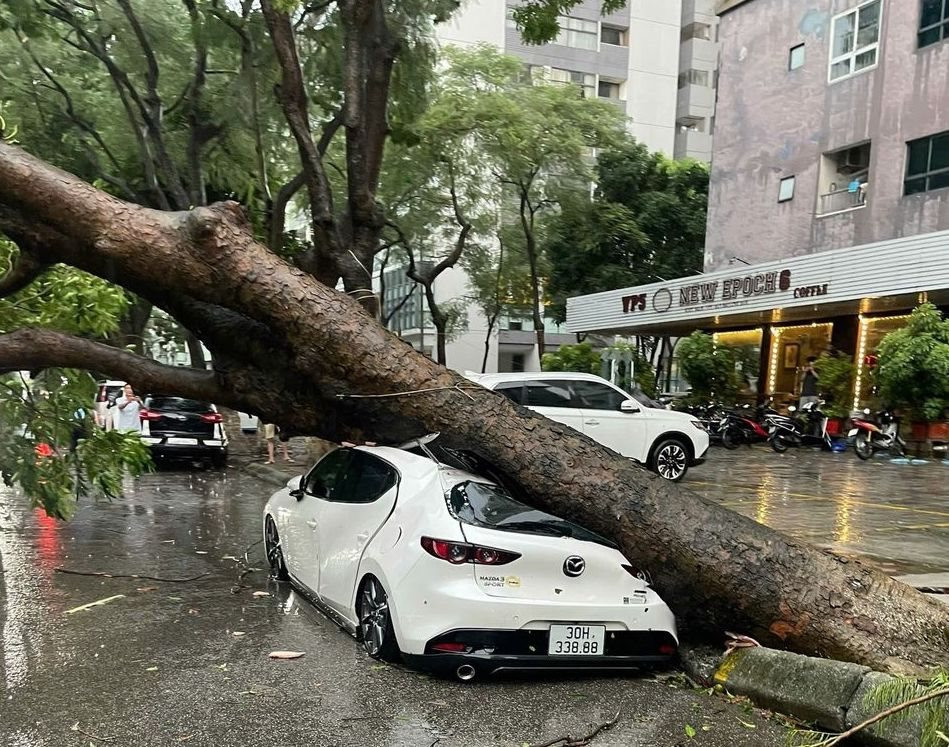 Ô tô bị cây đè trúng do bão Yagi được đền bù ra sao? 