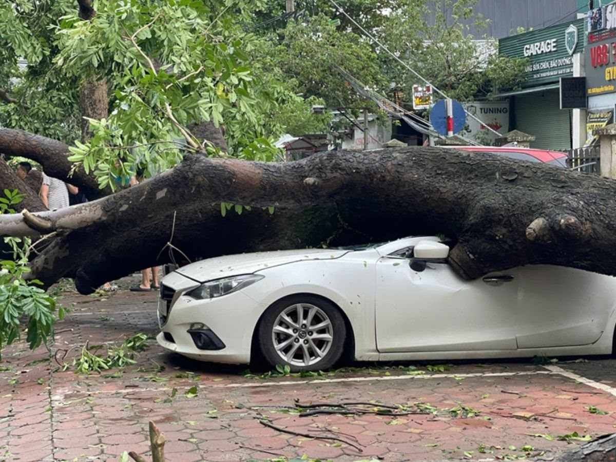 Các công ty bảo hiểm dự tính bồi thường hàng nghìn tỷ đồng thiệt hại do bão số 3