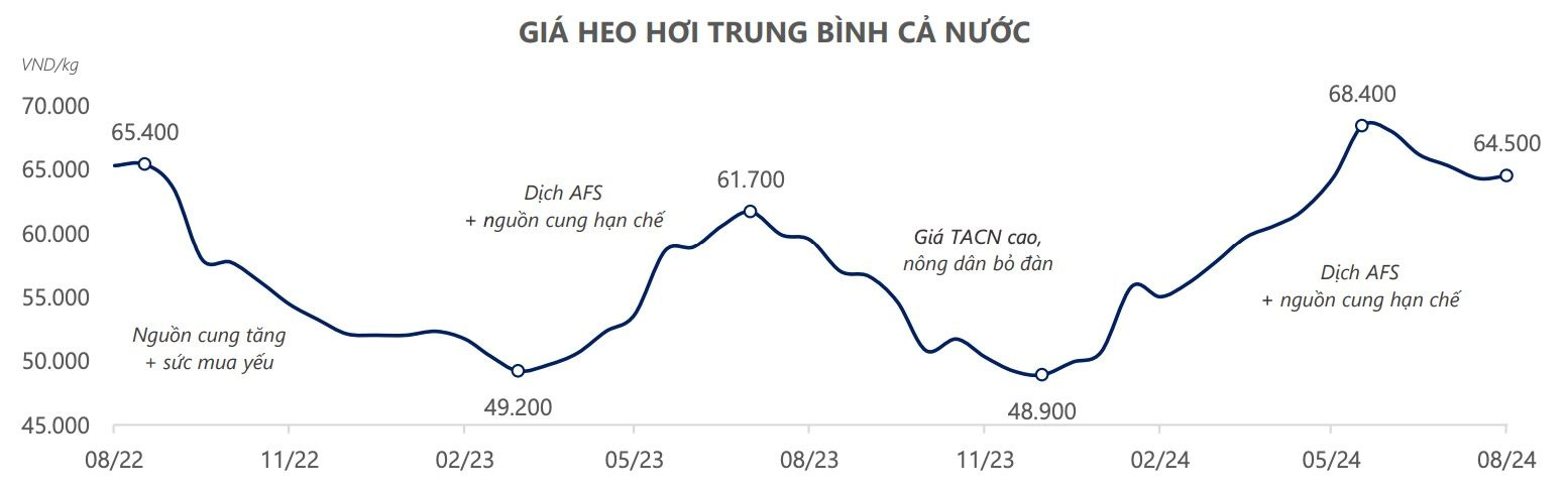 thieu-hut-nguon-cung-heo-ky-vong-tap-doan-dabaco-dbc-huong-tron-song-gia-heo_66df13a311d3d.jpg