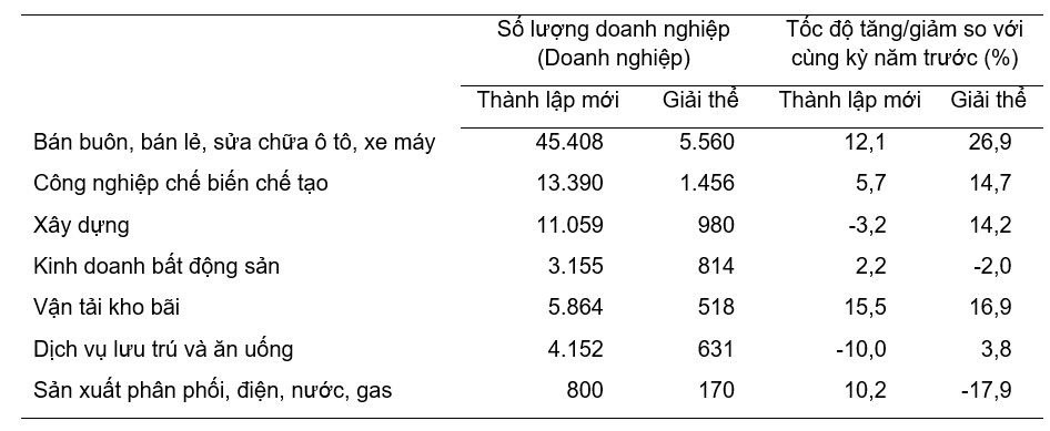 8-thang-nam-2024-binh-quan-mot-thang-co-hon-21-nghin-doanh-nghiep-thanh-lap-moi-va-quay-tro-lai-hoat-dong-1.jpg